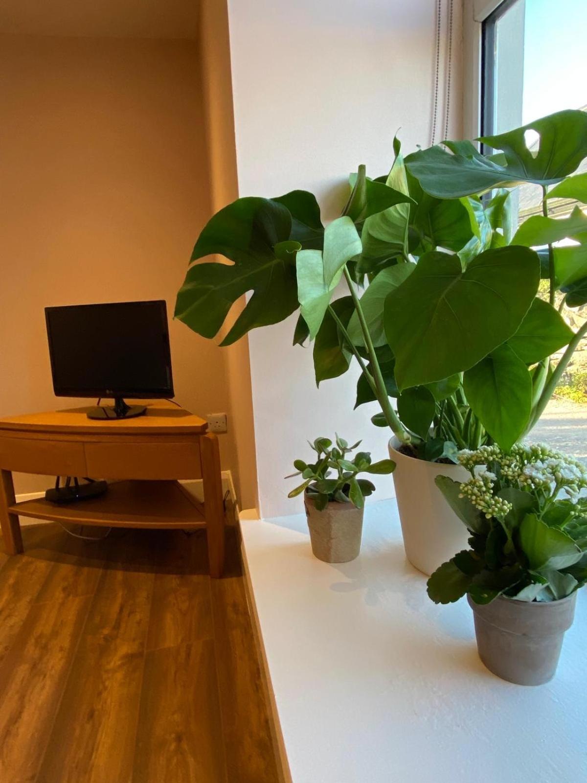Apartament Croagh Patrick Studio Murrisk Zewnętrze zdjęcie
